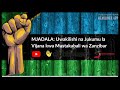 MJADALA Uwakilishi Kwenye Mabaraza Ya Vijana Zanzibar Na Mustakabali Wa Nchi Sehemu Ya Pili