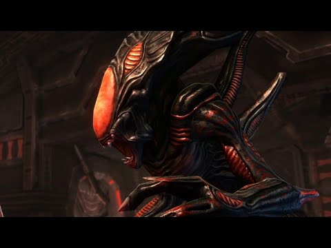 Wiki Aliens : Le Xénomorphe Berserk