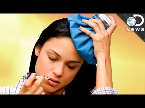 為什麼不應該強制退燒 (Why You Shouldn’t Fight A Fever)