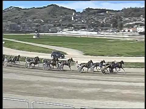 Trotto 29/03/2015 - 1° corsa