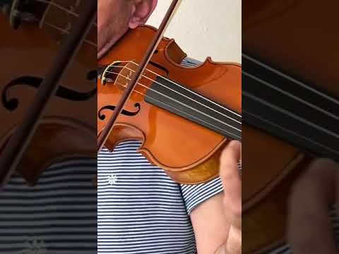 Vintage Labelled 4/4 Violin/Fiddle Eugene Gartner/Eugen Gärtner Stuttgart 1920-Top Quality&Sound-European Master-award-winning luthier-VIDEO image 11