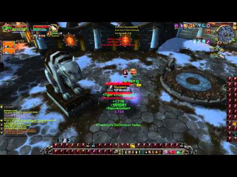 WoW 6.1.2 More Double Feral Arenas