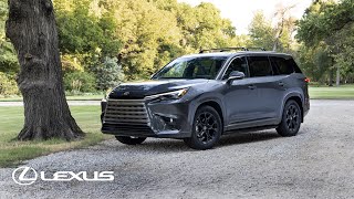 Lexus TX Accessories