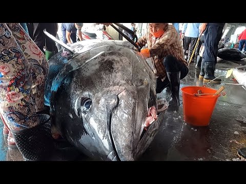 990 Lbs Super-Huge Bluefin Tuna Perfectly and Precisely Cut