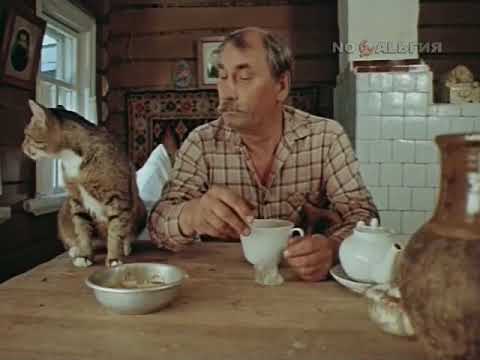 Советская власть и коты (из к/ф "Повод", 1986 г.)