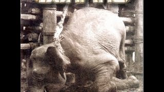 BONFIRE- Cry for help-Acoustic Version BONFIRE SAGT NEIN !!!!!!! STOP THE PAIN!!!!!