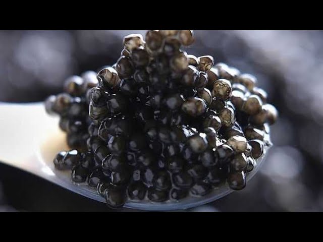 В Слюдянке конфисковали партию осетровой икры