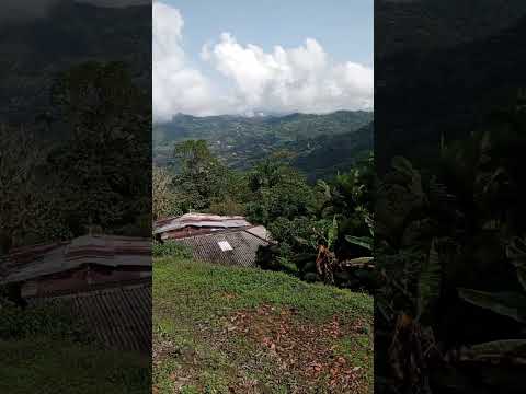 Lote en venta en clima cálido por 130 millones de pesos cerca a Bogotá