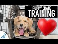 Crate Training Doesn't Need To Be Stressful!