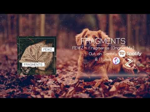 FEWZ - Fragments