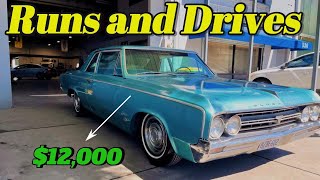 The Hunt for a $12,000 Classic Car on Craigslist | A Rare Owner's Find!