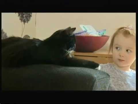 Post deliverer - Beware of the cat! (UK) - BBC News - 29th April 2016