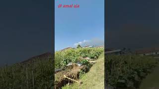 Download lagu Story wa keren pegunungan dieng plateau mp3