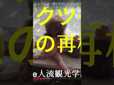 観光政策学科 2025年5月9日