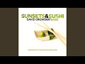 Open Skies (Remix)