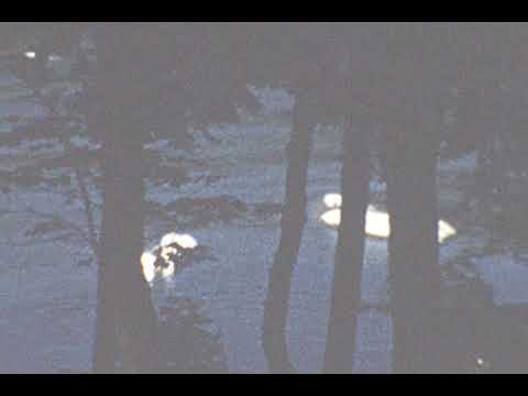 Ski Ramp   Peach Bottom Tower 1956