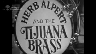 Herb Alpert   Flamingo