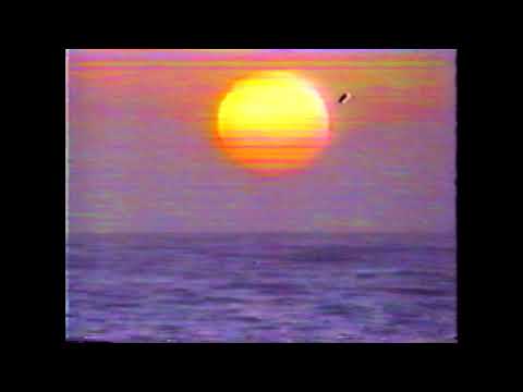 GENSHIN x XAVIER WULF x SLIM GUERILLA TYPE BEAT *WAVY*