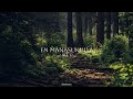 MAAMANNAN Raasa Kannu Song Whatsapp Status Vadivelu A R Rahman