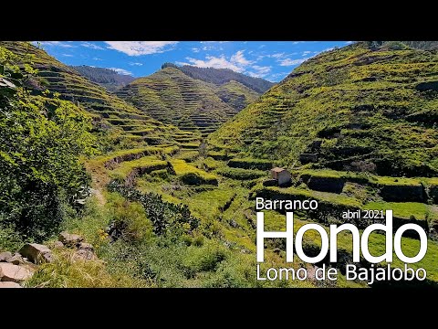 BARRANCO HONDO - Lomo de BAJALOBO (abril 2021) #GranCanaria #BarrancoHondo #Juncalillo