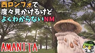 【⚔轟くFF11】轟くNM狩り部「Amanita」【復帰プレイ#316】