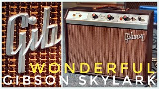 Video thumbnail for Gibson Amps Deserves MUCH MORE ATTENTION! 1964 Gibson Skylark by Johan Segeborn