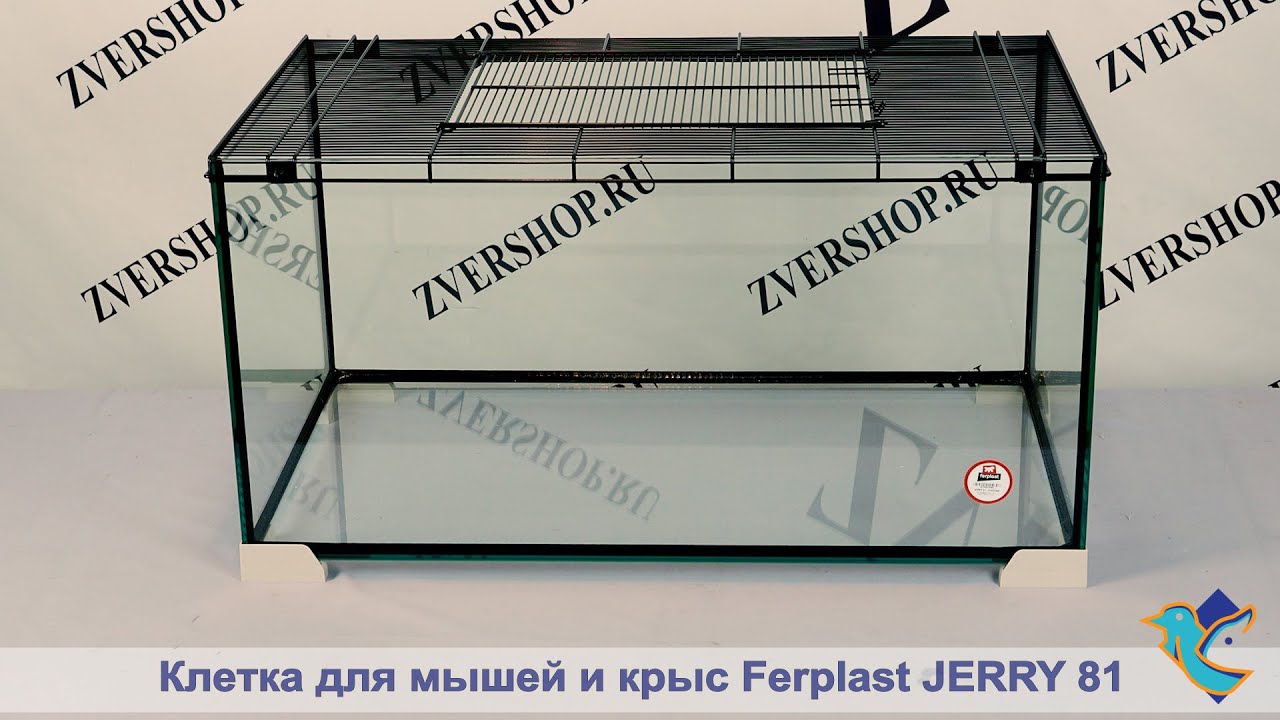 Клетка Ferplast для мышей и крыс Jerry 81 стекло