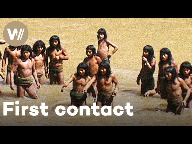 Isolated tribe resists all contact with outsiders in the Peruvian Amazon (Full Documentary) SDDEFAULT Thumbnail