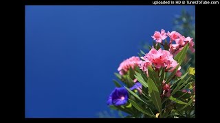 prince kaybee - shukuma