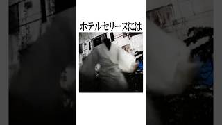 全力ダッシュの異変と出会えます #shorts #雑学 #心霊スポット
