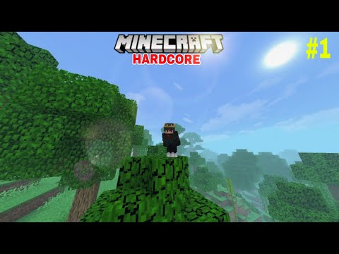 RED999 GAMER - Minecraft Pocket Edition Hardcore Let's Play - Episode 1 #minecraft
