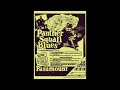 Panther Squall Blues (Blind Blake)