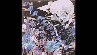 The Shins - So Now What (Flipped)