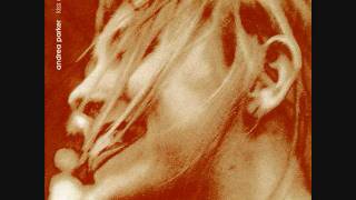 Andrea Parker - Breaking The Code