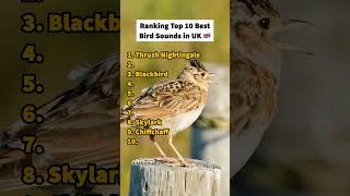 Download lagu 10 Suara Burung Terpopuler di Inggris mp3