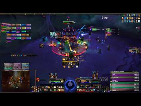 Ny'alotha heroic Shad'har der Unersättliche Paladin Tank POV