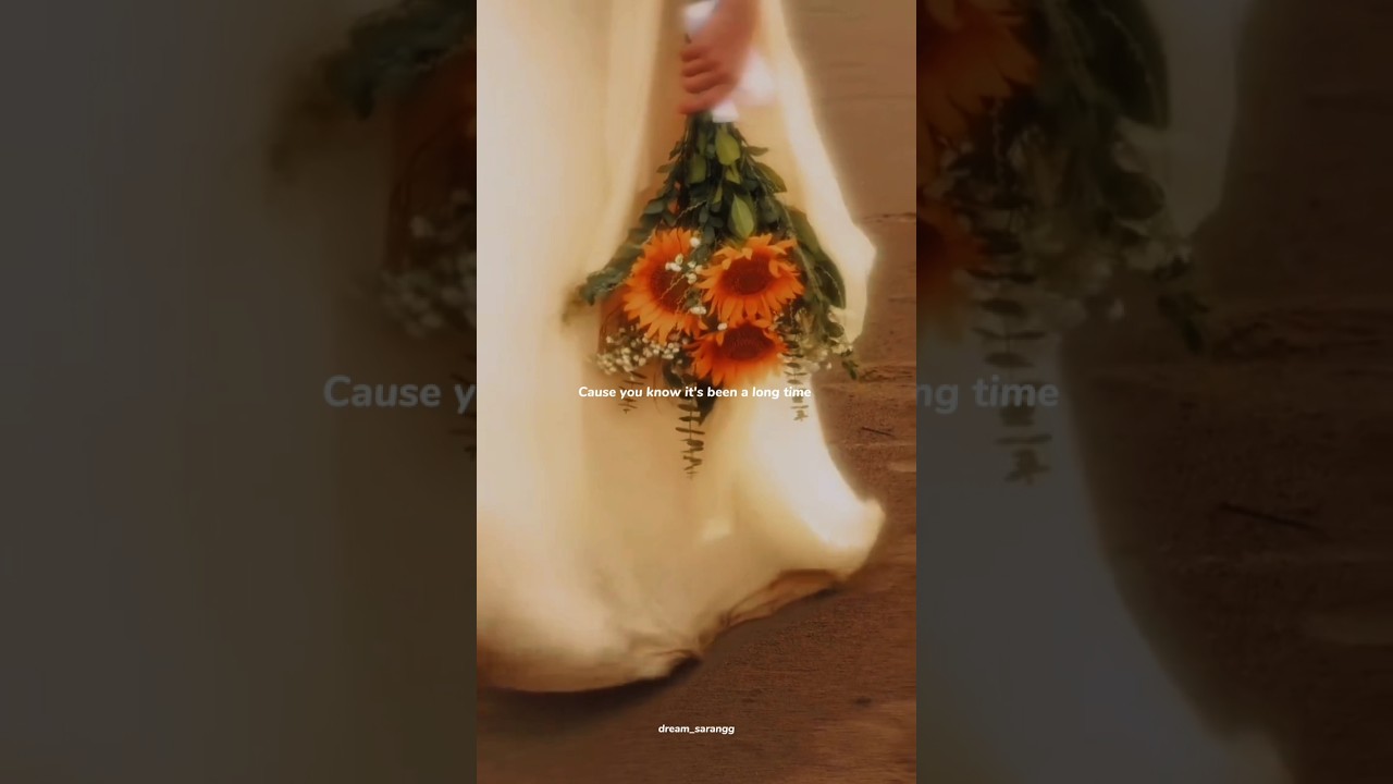 Señorita - Camila Cabello | lyrics | aesthetic | whatsapp Status | English songs | slowed #shorts