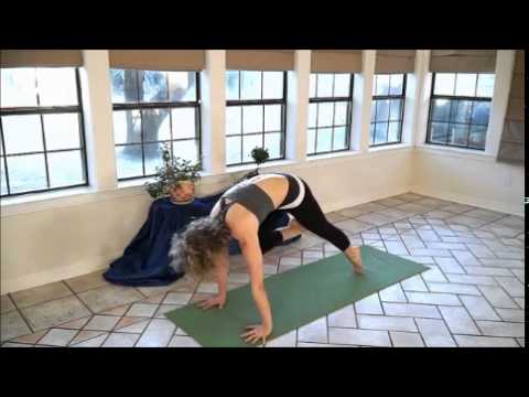Weight Loss   Detox Yoga Meltdown For Beginners   20 Minute Fat Burning Yoga Workout   YouTube