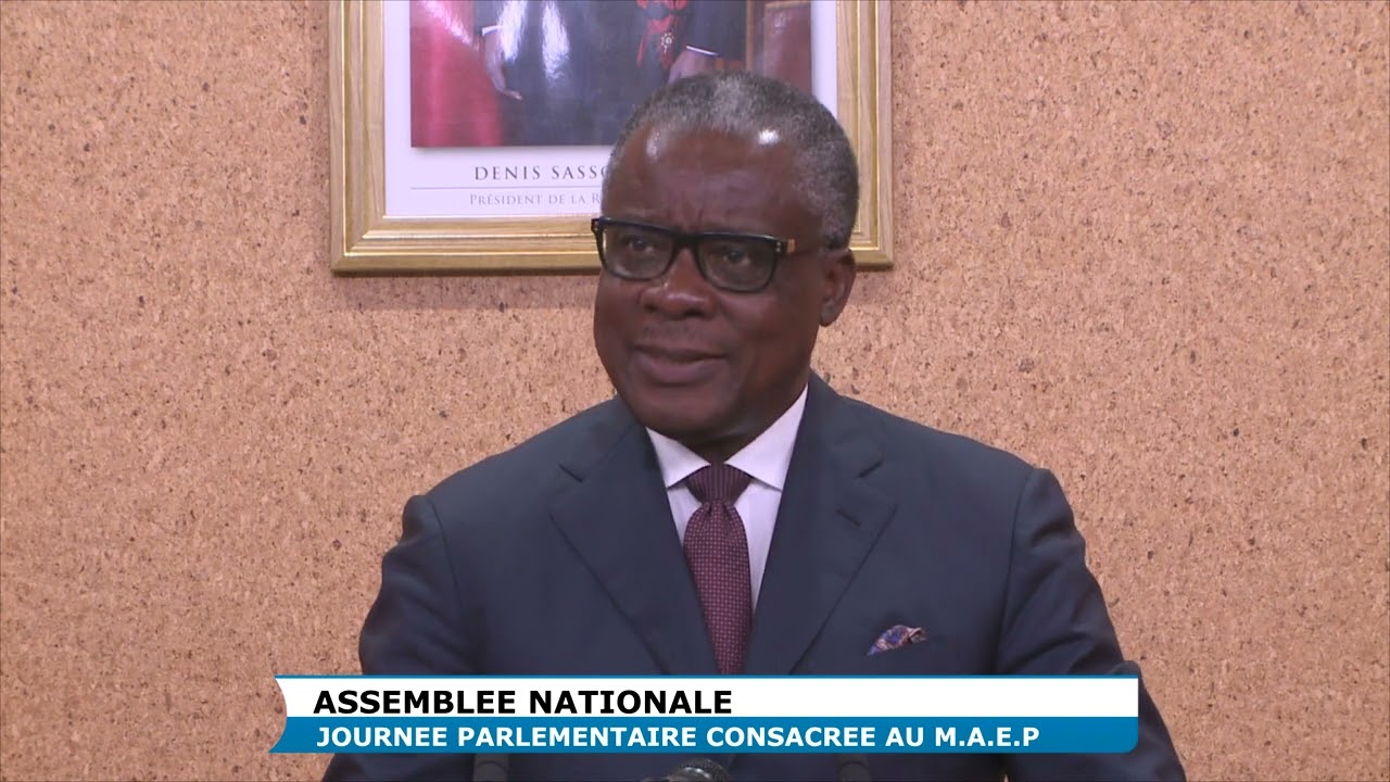 ASSEMBLEE NATIONALE JOURNEE PARLEMENTAIRE  MAEP