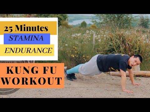 25 Min Intense Full Body Kung Fu Workout - Take your Fitness STAMINA & ENDURANCE to the NEXT LEVEL 👍