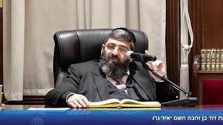 הרב אייל עמרמי - הלכות שבת - טו' שבט תשפ"ד