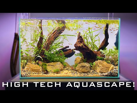 Building a Nature Inspired High Tech Aquascape!