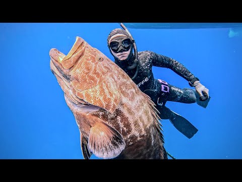 5 Days Spearfishing Giant Fish In the Bahamas