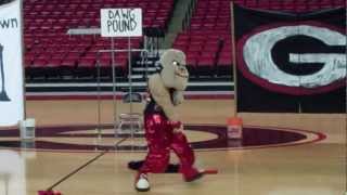 2012 Hairy Dawg Tryouts - WINNER #2