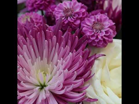 Vintage 18ct Gold Diamond Trilogy Ring - 1989