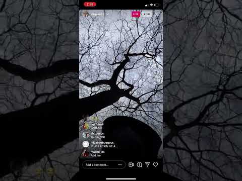 ASSASIN on bad timing looking for C Blu after he went live on his block