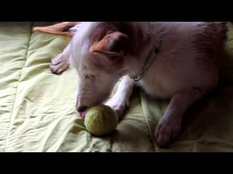 milena y su pelota de tenis