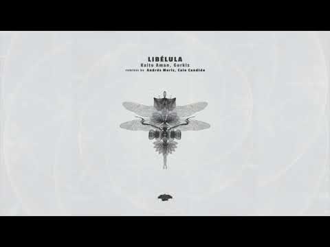 Kaito Aman, Gorkiz - Libélula (Original Mix)