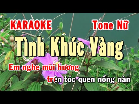 Tình Khúc Vàng Karaoke Tone Nữ | Karaoke Hiền Phương