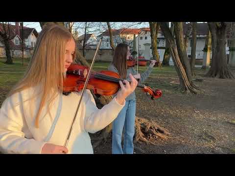 MITJA ŠINKOVEC - Najljepša  ( official video 2025 )